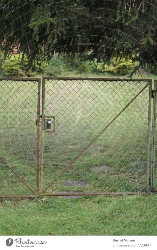 tiefgrün Menschenleer Gartentor Stahl Maschendraht Zaun Tor Knauf Wiese Tanne hängen Neigung Eingang Zugang bücken Fußweg