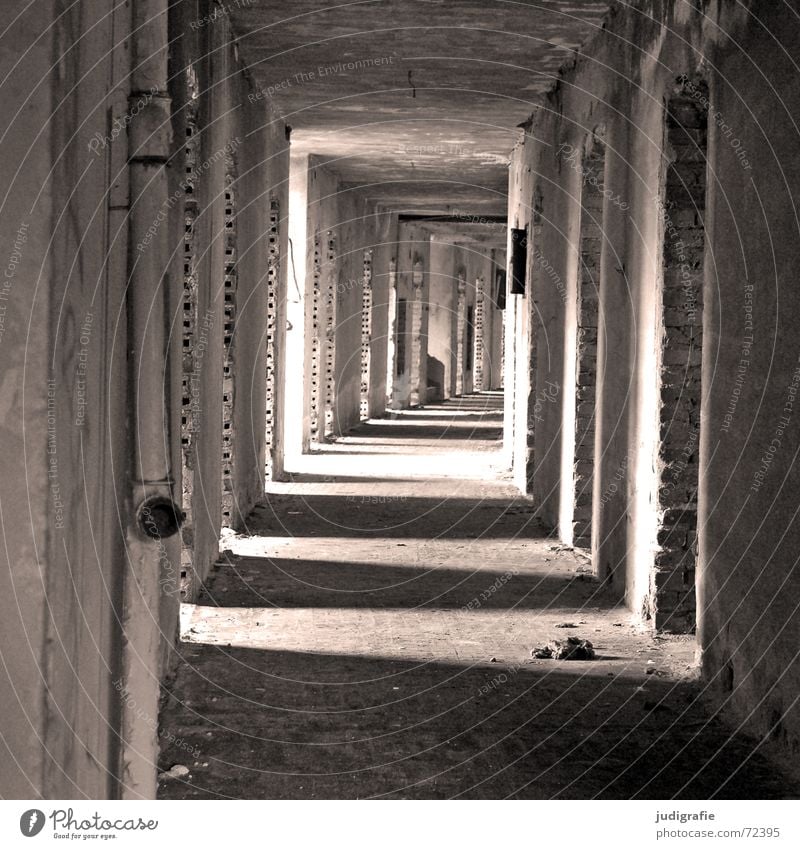 Kein Mädchen im Gang möglich Tunnel Licht Flur Haus Gebäude Demontage Ruine Hotel Gernrode Backstein Wand Eingang Ausgang schwarz weiß verfallen Schwarzweißfoto