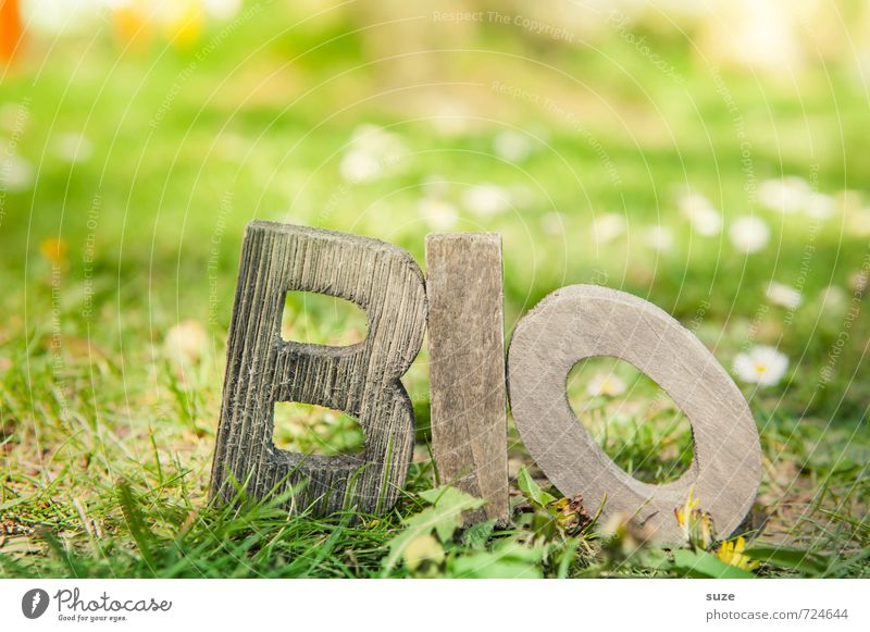 BiO Grün Lebensmittel Ernährung Picknick Bioprodukte Vegetarische Ernährung Lifestyle Gesunde Ernährung Freizeit & Hobby Umwelt Natur Frühling Schönes Wetter