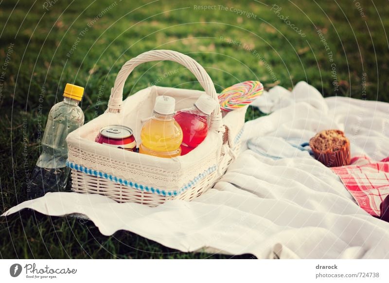 candy and soda Lebensmittel Kuchen Picknick Getränk Trinkwasser Saft süß Drarock Lollipop Cupcake Korb Gras Park grün Flasche Farbfoto Außenaufnahme