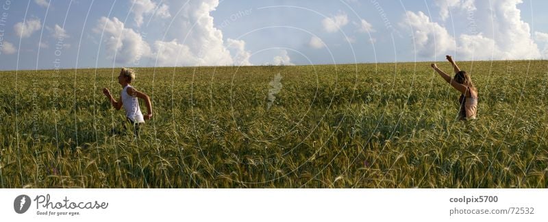 Freunde Kornfeld Freundschaft fangen Spielen Ernte Natur rennen laufen