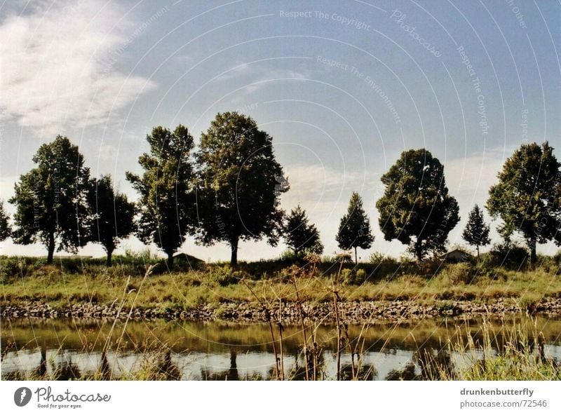 Auf der anderen Seite Baum Blatt Gras Wiese grün weiß Reflexion & Spiegelung Sommer Natur Fluss Himmel blau Schatten Wasser Stein