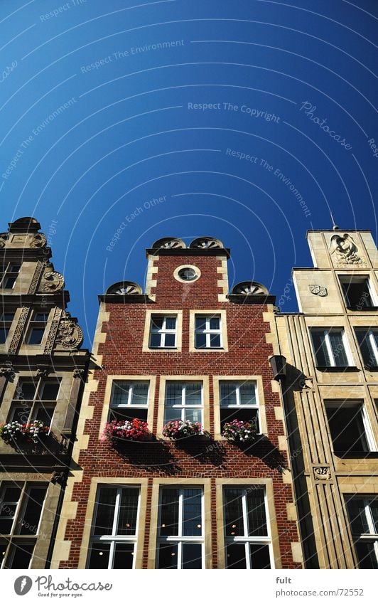 fassade Haus Fenster Fassade Blumenkasten Himmel Münster blau Architektur