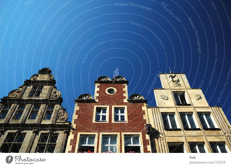 fassade2 Haus Fenster Fassade Blumenkasten Himmel Münster blau Architektur