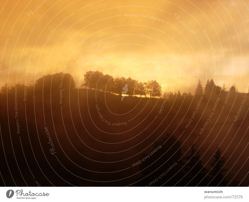 Märchen Wald Wolken Nebel Baum Abenddämmerung Dämmerung Sonnenuntergang außergewöhnlich Himmel orange Verhext Brand