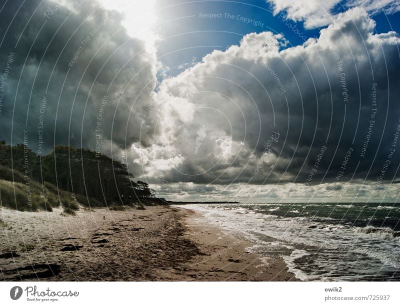 Wolken und Wellen Ferne Freiheit Umwelt Natur Landschaft Urelemente Sand Himmel Horizont Sonne Sonnenlicht Pflanze Sträucher Küste Strand Ostsee Weststrand