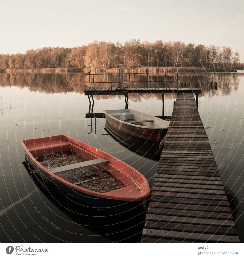 Steg und Insel Umwelt Natur Landschaft Wasser Himmel Horizont Herbst Klima Wetter Baum Wald Seeufer Ruderboot Anlegestelle groß Stimmung Gelassenheit ruhig