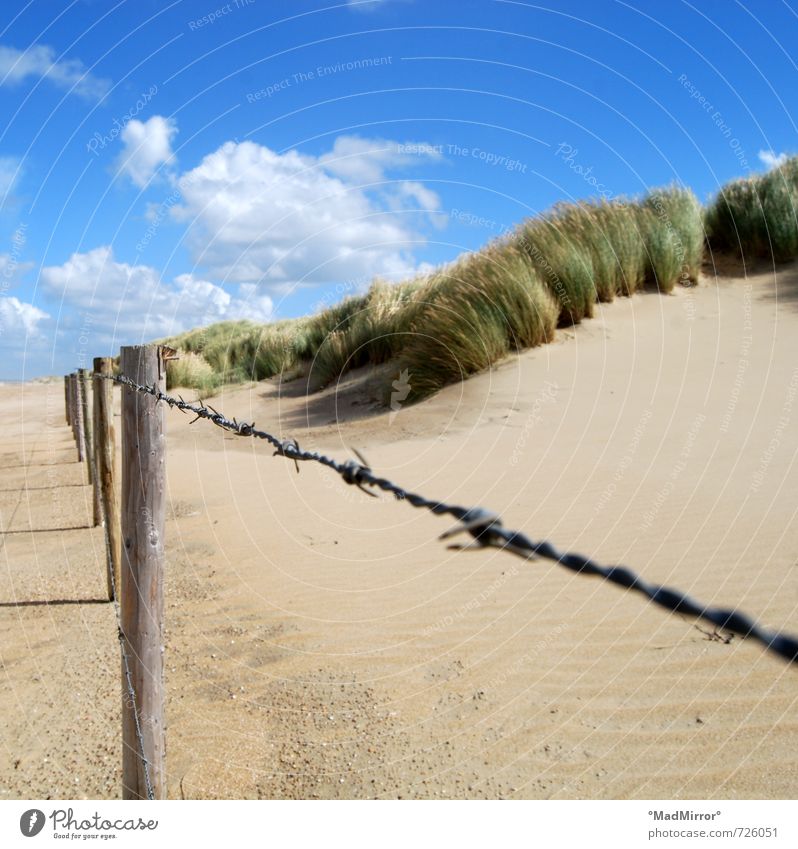 gesperrt Natur Sand Strand Nordsee Ostsee Schutz Stacheldraht Stacheldrahtzaun Barriere Naturschutzgebiet Stranddüne Dünengras Farbfoto Außenaufnahme Tag