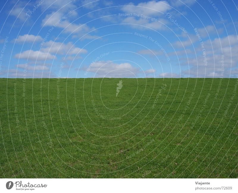 vertikale Horizontlinie Wiese Wolken Gras Sommer Physik Himmel Deutschland grün Hintergrundbild Natur ruhig Strukturen & Formen kein schaf heute no sheep today