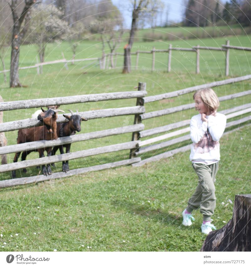 abenteuer bauernhof Spielen Ferien & Urlaub & Reisen Ausflug Abenteuer Sommer Häusliches Leben Garten Mensch feminin Kind Mädchen Kindheit 1 3-8 Jahre