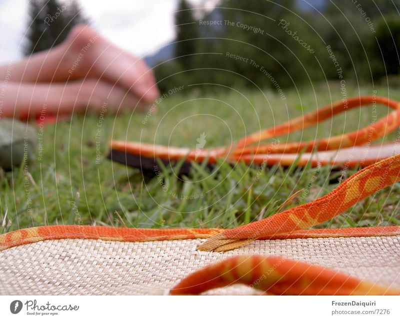 Flip-Flops Schuhe Wiese grün gelb Bast Sandale Flipflops Bundesland Tirol Freizeit & Hobby fußbekleidung Fuß orange Nahaufnahme Makroaufnahme meadow grass feet