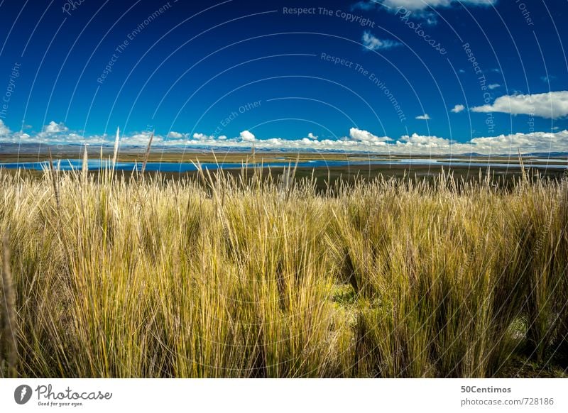 Hoch in den Anden von Peru Ferien & Urlaub & Reisen Tourismus Abenteuer Ferne Freiheit Sommer Sonne Umwelt Natur Landschaft Wolken Klima Schönes Wetter Wiese