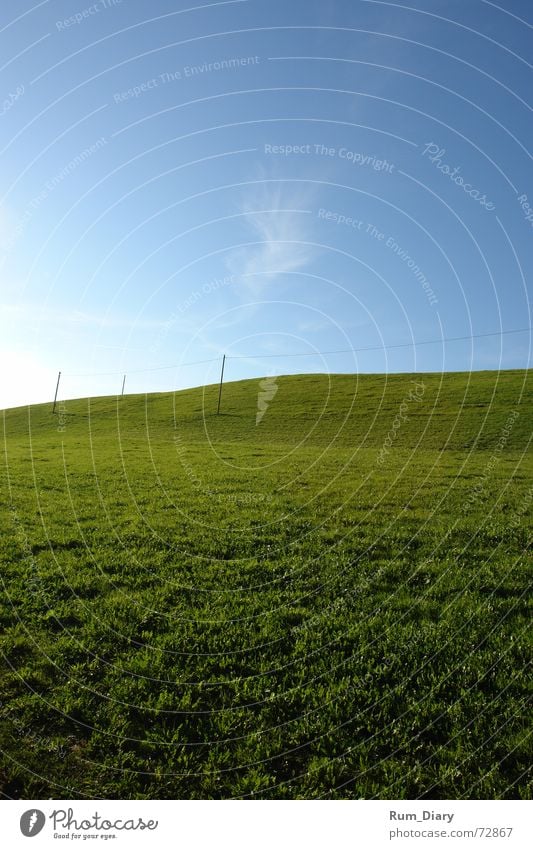 Unendlich Unendlichkeit Wiese Gras Strukturen & Formen Landschaft landscape tief steffisburg