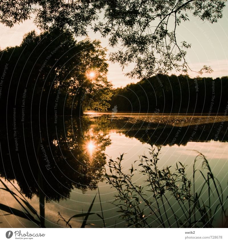 Licht vom Licht Umwelt Natur Landschaft Pflanze Wasser Himmel Klima Wetter Schönes Wetter Baum Sträucher leuchten glänzend groß ruhig Idylle Unendlichkeit Ferne