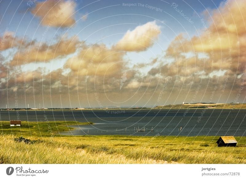 Gleich hinterm Deich Skandinavien Dänemark Ödland Einsamkeit Meer Wasser Küste Abend Sonne Wolken Hütte Fischer Fischereiwirtschaft Strand