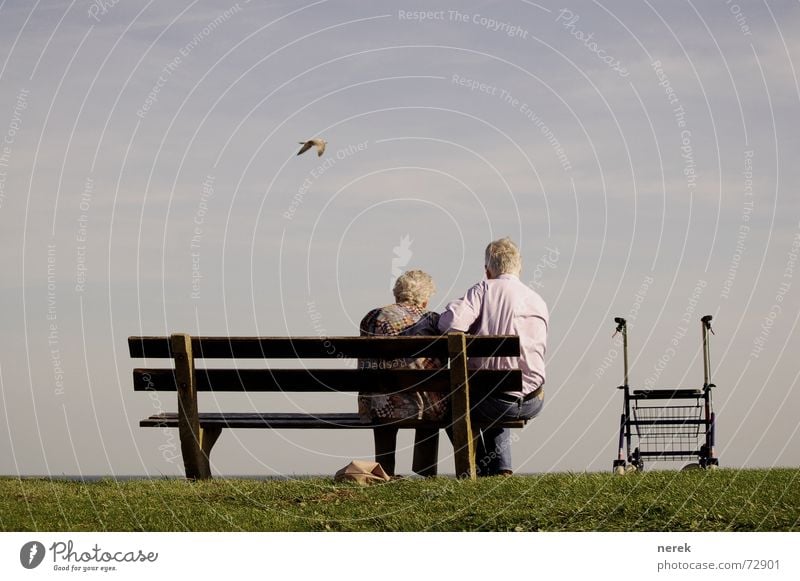 Oma braucht Pflege / Hilfe kommt von oben Farbfoto Außenaufnahme Textfreiraum oben Tag Sonnenlicht Zentralperspektive Rückansicht Gesundheitswesen Krankheit