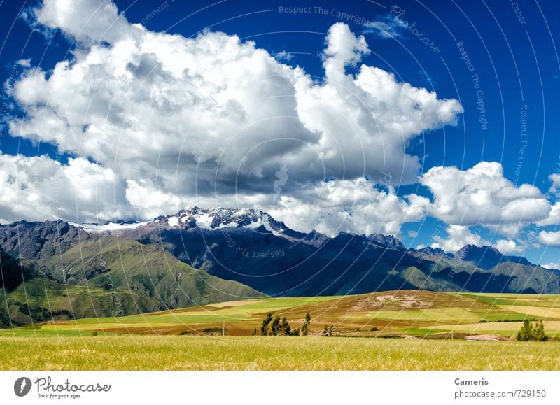 Die Anden in Peru Umwelt Natur Landschaft Erde Luft Himmel Wolken Sonne Sonnenlicht Sommer Wetter Schönes Wetter Gras Sträucher Moos Feld Hügel Felsen