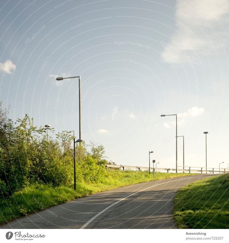 hinauf Umwelt Natur Landschaft Pflanze Luft Himmel Horizont Sommer Wetter Schönes Wetter Wärme Gras Sträucher Grünpflanze Park Wiese Wien Straße hell blau