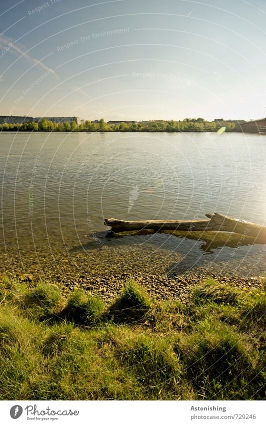 Donau Umwelt Natur Landschaft Pflanze Himmel Horizont Sonne Sonnenlicht Frühling Wetter Schönes Wetter Wärme Gras Wiese Flussufer Holz hell nass schön blau