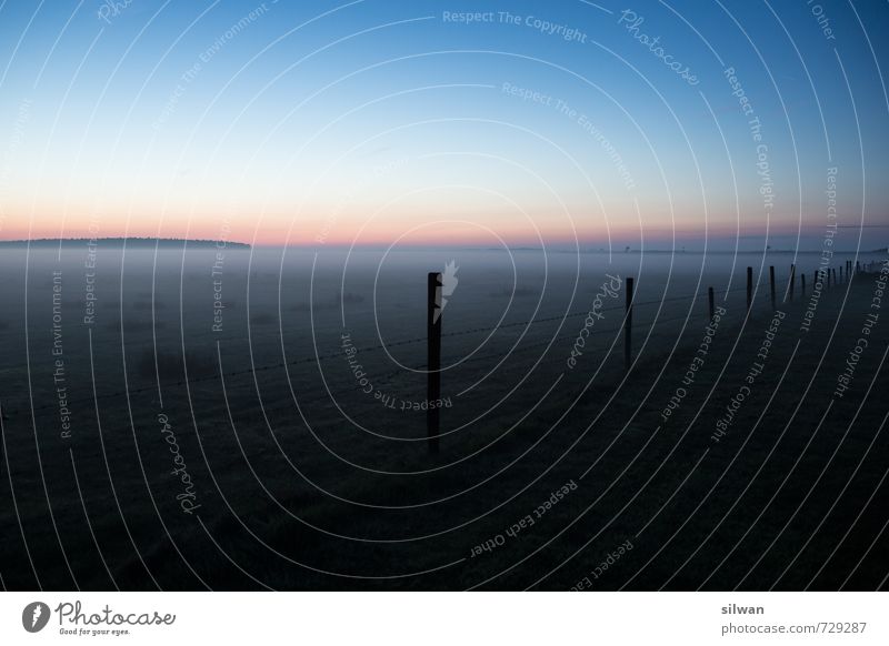 kitschiger Nebel Landschaft Himmel Wolkenloser Himmel Nachthimmel Horizont Sonnenaufgang Sonnenuntergang Frühling Schönes Wetter schlechtes Wetter Feld