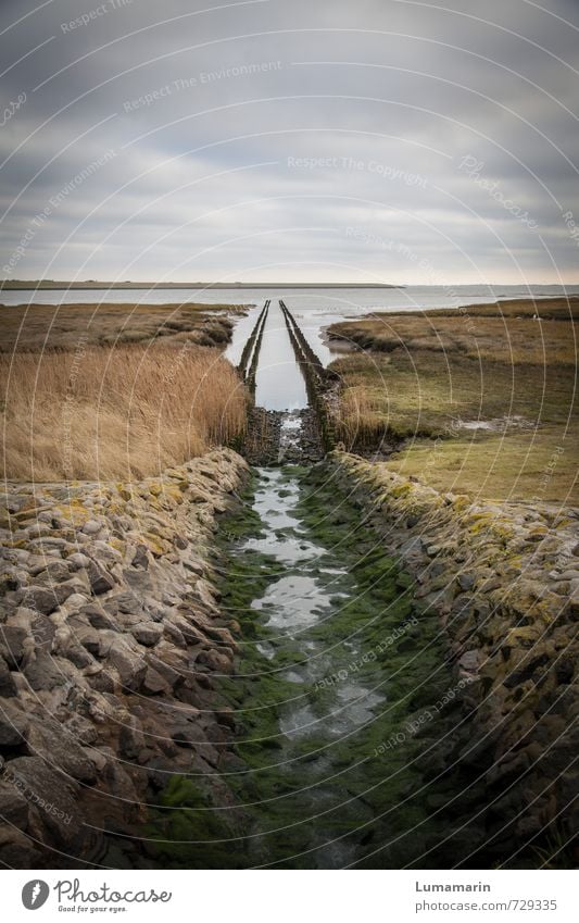 Passage Umwelt Landschaft Urelemente Erde Wasser Himmel Wolken Horizont schlechtes Wetter Nordsee Meer Freiheit Wege & Pfade Ziel Fluchtpunkt Kanal Stein Küste