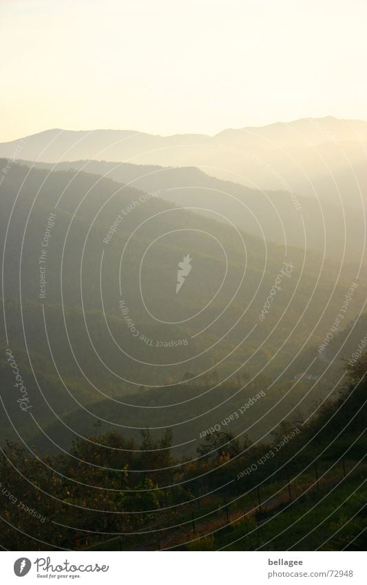 dünstig Nebel gelb Horizont grün Hügel Gras Sträucher Italien Ligurien Sonnenuntergang Berge u. Gebirge Landschaft Silhouette Schatten