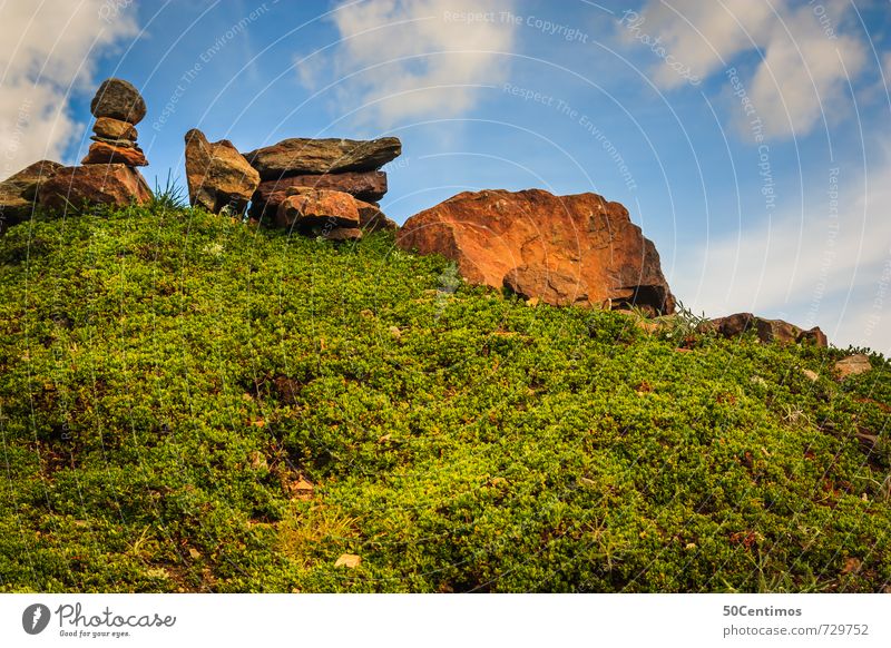 Steine im Garten Berge u. Gebirge wandern Natur Landschaft Himmel Wolken Sommer Pflanze Moos Park Wiese Erholung Freiheit Freizeit & Hobby Frieden ruhig