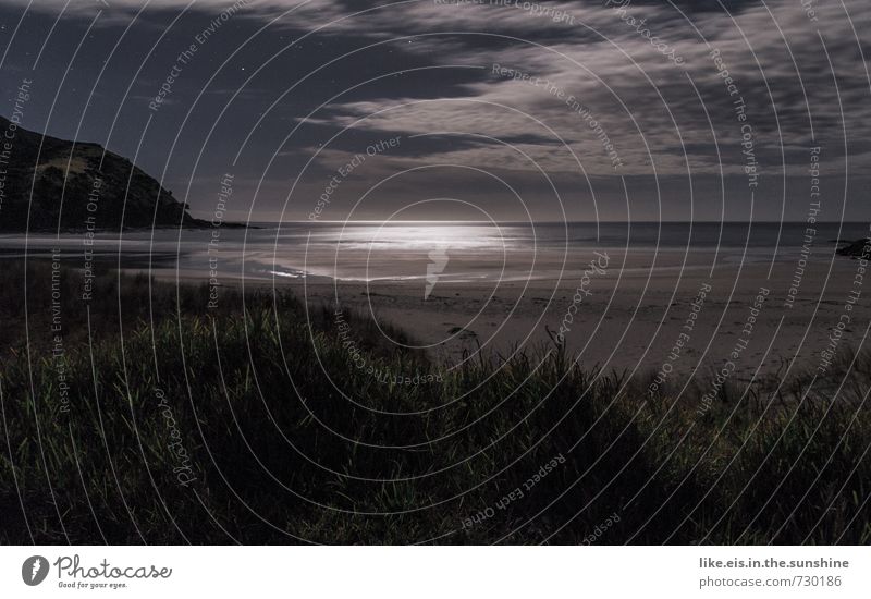 nachts am strand Sinnesorgane ruhig Ferien & Urlaub & Reisen Abenteuer Ferne Freiheit Sommerurlaub Strand Meer Umwelt Natur Landschaft Nachthimmel Stern Mond