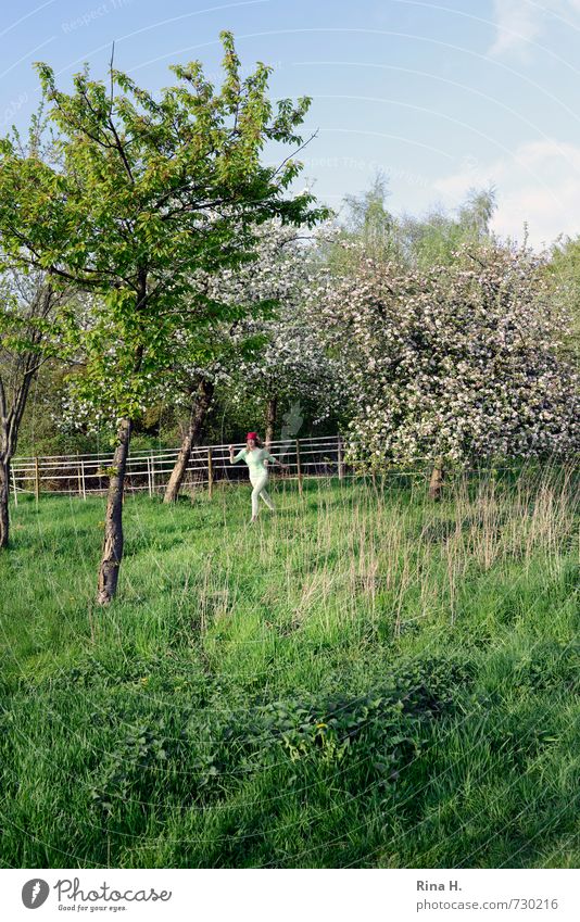 Pink IV Mädchen Junge Frau Jugendliche 1 Mensch 13-18 Jahre Kind Natur Landschaft Himmel Frühling Schönes Wetter Baum Gras Blüte Garten Wiese T-Shirt Hose Hut