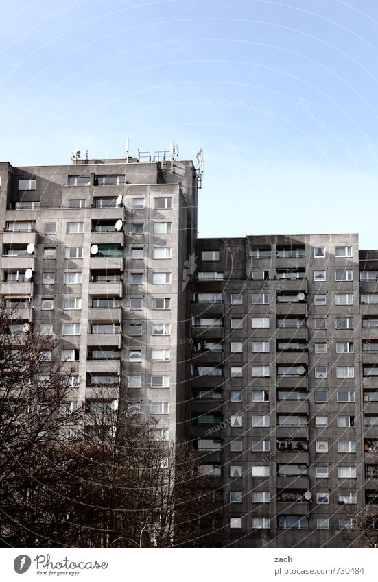 Nachbarschaft Baum Berlin Stadt Hauptstadt überbevölkert Haus Hochhaus Gebäude Architektur Mauer Wand Fassade Fenster Antenne Satellitenantenne Stein