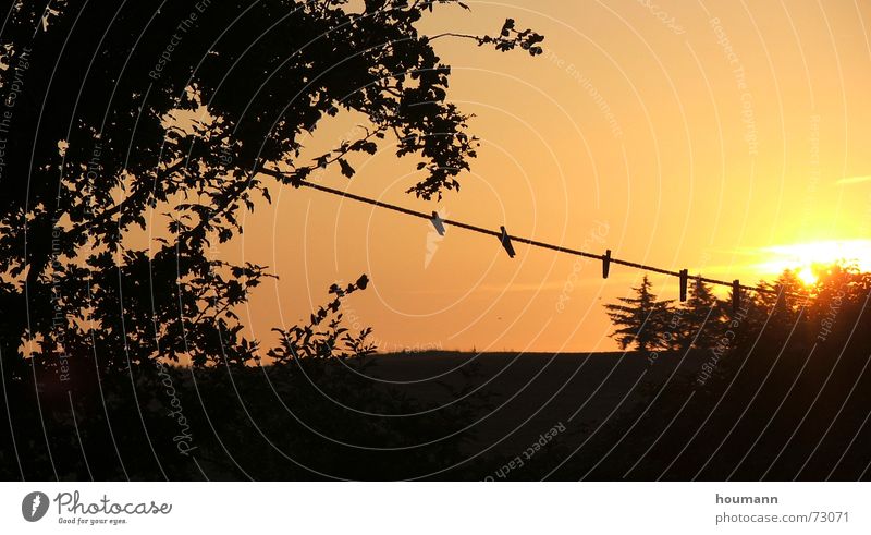 Morning has broken Sonnenaufgang Baum Wäscheklammern Physik Seil sunrise tree wire clothes pin clamp orange Wärme