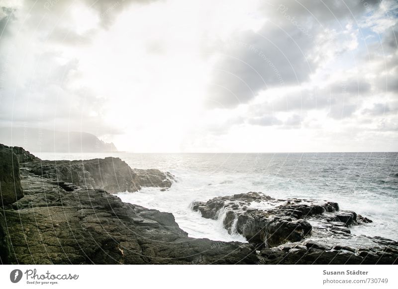 wild ocean Natur Landschaft Wasser Wolken Sonnenaufgang Sonnenuntergang Sommer Schönes Wetter Berge u. Gebirge Wellen Küste Bucht Meer Insel Pazifik Queens bath