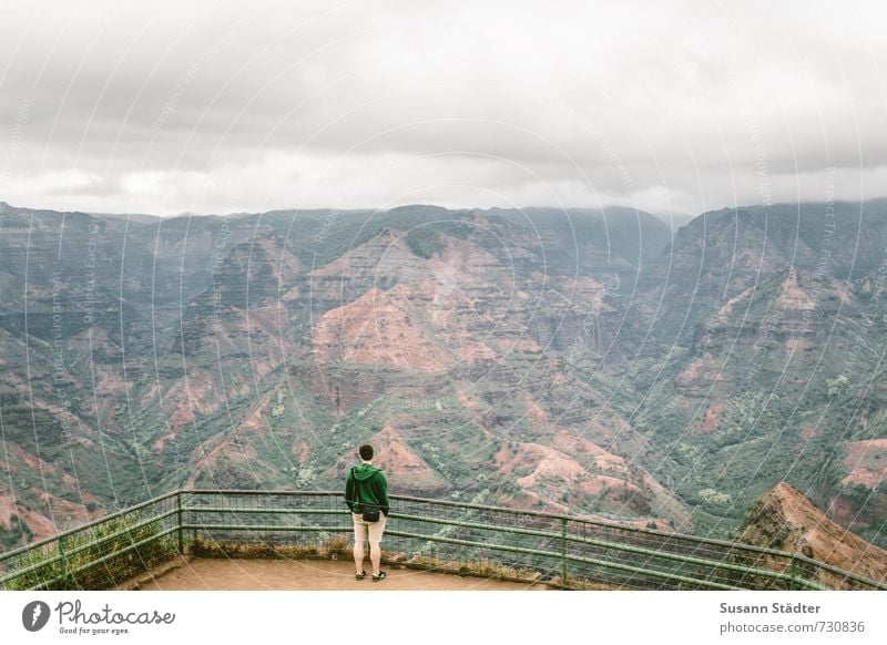 hawaii | waimea canyon Himmel Wolken Urwald Hügel Felsen Berge u. Gebirge Schlucht Wasserfall Oase Beginn bizarr Einsamkeit elegant entdecken