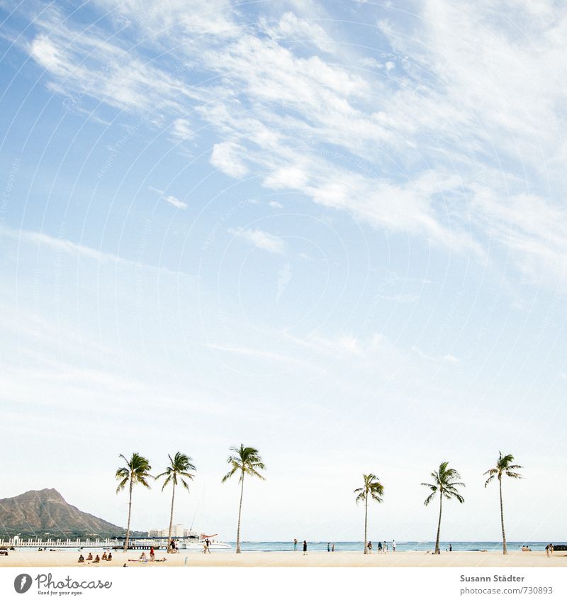 III III Ferien & Urlaub & Reisen Tourismus Ferne Sommerurlaub Sonnenbad Mensch Menschengruppe exotisch Berge u. Gebirge Küste Horizont Umwelt Hawaii Oahu Palme