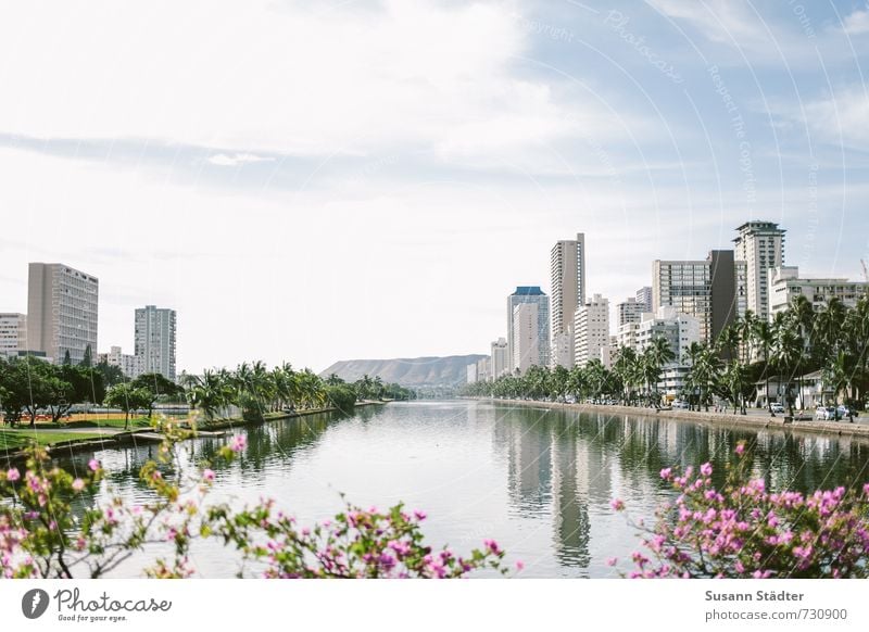 Ala Wai Canal Sommer Küste Flussufer Stadt Hauptstadt Skyline Haus Hochhaus Bankgebäude Brücke Sehenswürdigkeit ästhetisch hell sommerlich Hawaii Honolulu