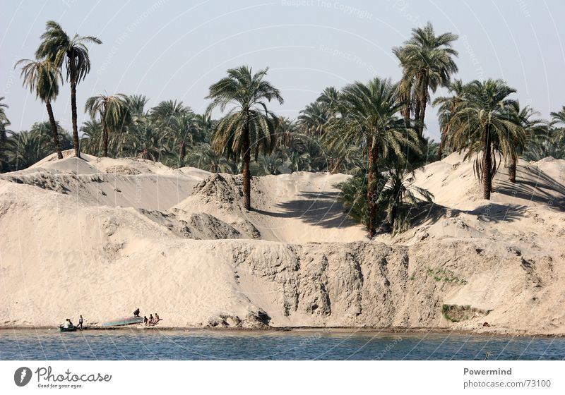 BuddelkastenXXL Afrika Stranddüne Nil Palme Fischereiwirtschaft verdursten africa versandung versteppung Sand Sahara Wasser Fluss nahrungsarmut