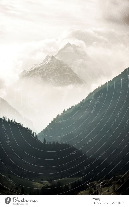 geheimnisvoll | Bergwelt Himmel Wolken Frühling Sommer Schönes Wetter Wald Hügel Felsen Alpen Berge u. Gebirge Ennstaler Alpen Untertal Mandlspitz Gipfel