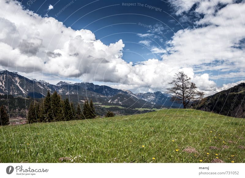 Ennstal Ferien & Urlaub & Reisen Abenteuer Freiheit Sommerurlaub Natur Landschaft Himmel Wolken Gewitterwolken Horizont Frühling Wetter Schönes Wetter Wiese