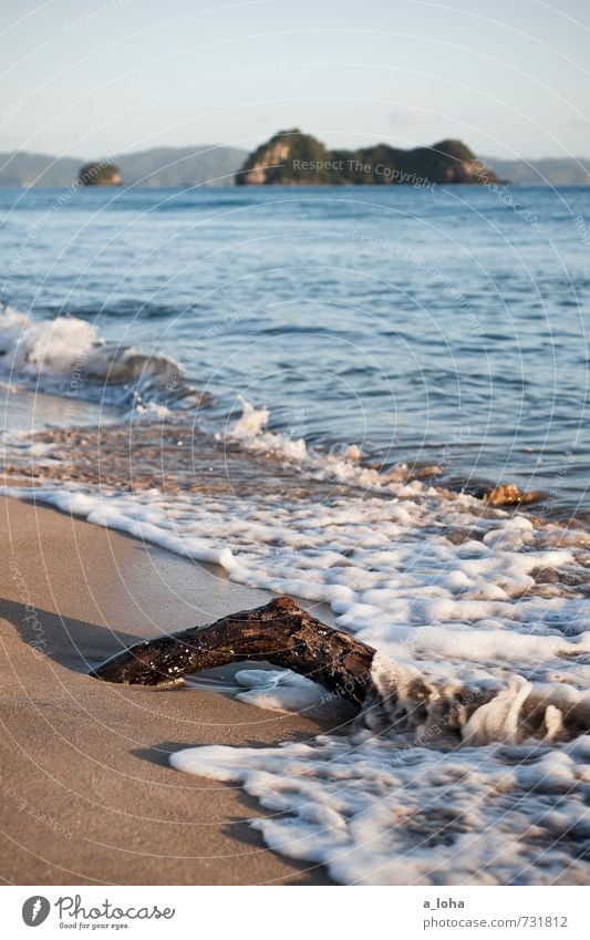 Cast Away Umwelt Natur Landschaft Pflanze Urelemente Sand Wasser Wolkenloser Himmel Horizont Sonne Sommer Schönes Wetter Baum Felsen Wellen Küste Strand Meer