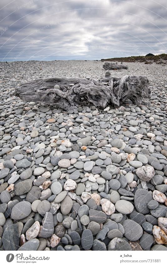 Gillepies Beach Umwelt Natur Landschaft Urelemente Himmel Wolken Gewitterwolken Horizont Herbst schlechtes Wetter Küste Strand Meer Stein Holz grau Fernweh