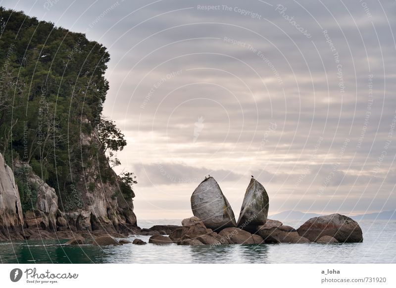 SPLIT AP PLE ROCK Umwelt Natur Landschaft Pflanze Urelemente Wasser Himmel Wolken Horizont Sommer schlechtes Wetter Hügel Felsen Küste Strand Riff Meer Fernweh