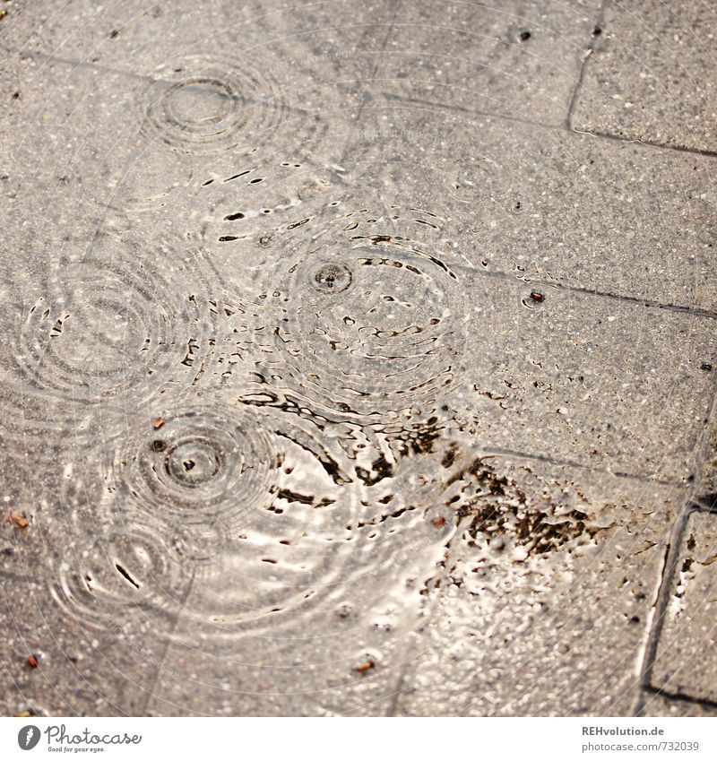 Ich habe den Regen nicht erfunden nass trüb feucht Pfütze Pflastersteine Wassertropfen Kreis Wetter Herbst trist Farbfoto Gedeckte Farben Außenaufnahme Tag