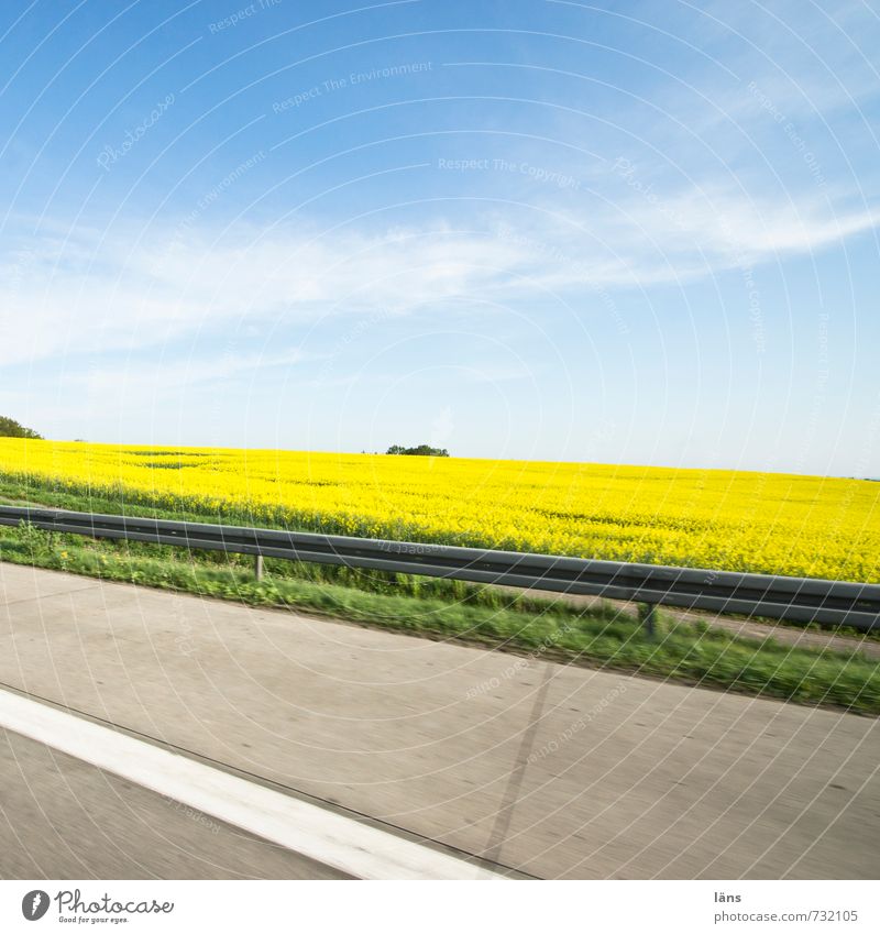 auf dem Weg Umwelt Natur Landschaft Frühling Schönes Wetter Raps Feld Verkehr Verkehrswege Autofahren Straße Wege & Pfade Autobahn Bewegung