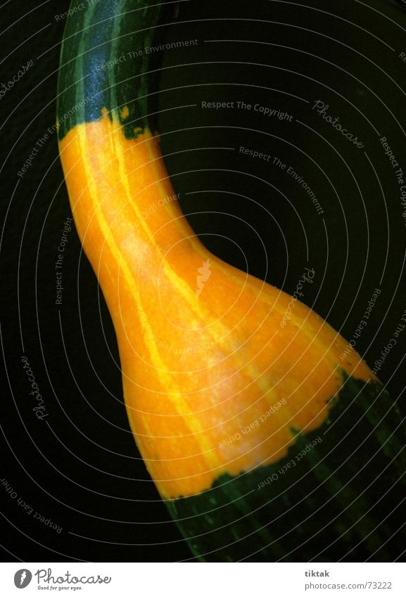 Kelle/Spoon Herbst schwarz dunkel Dekoration & Verzierung gekrümmt krumm Kürbis zierkürbis Gemüse herbstdekoration orange hell Strukturen & Formen Kontrast