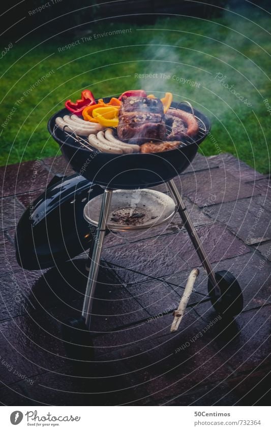 Die Grillsession ist eröffnet Fleisch Wurstwaren Gemüse Grillen Griller Lifestyle Reichtum Freizeit & Hobby Ferien & Urlaub & Reisen Abenteuer Camping Sommer