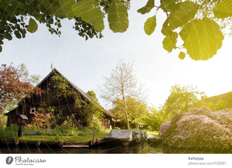 haus am see Umwelt Natur Teich See Bach Fluss Dorf Fischerdorf Haus Einfamilienhaus Wärme Spreewald Holzhaus Sommer Sommerurlaub Baum paddeltour Farbfoto