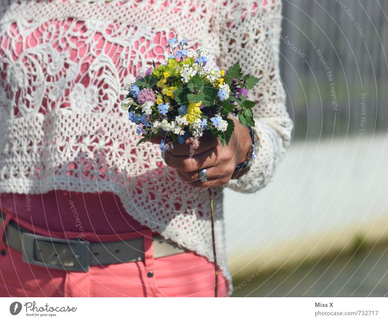 love love love Muttertag Geburtstag Mensch feminin Junge Frau Jugendliche Erwachsene 1 13-18 Jahre Kind 18-30 Jahre 30-45 Jahre Frühling Sommer Blume Blüte