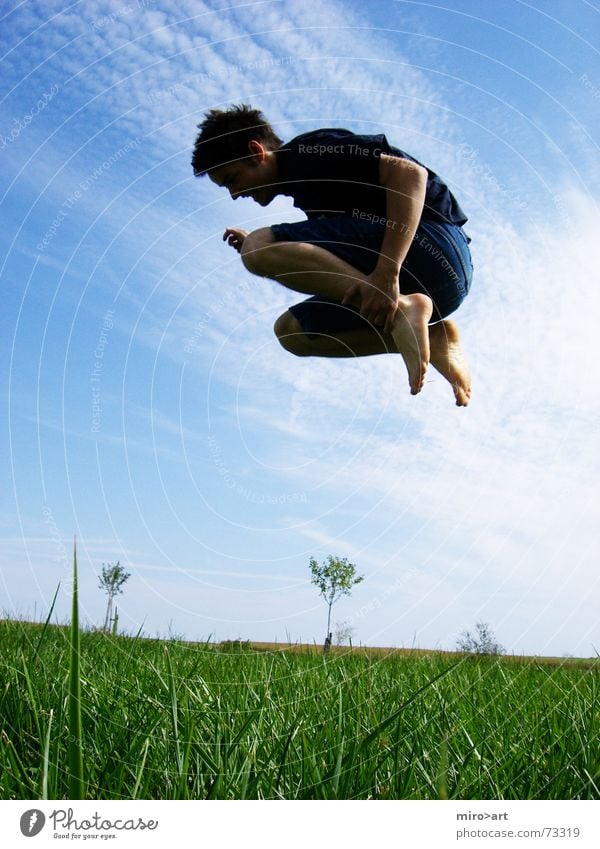 GrasSchwimmer springen grün Wiese Feld verrückt frei Himmel blau Freude lustig Sommer