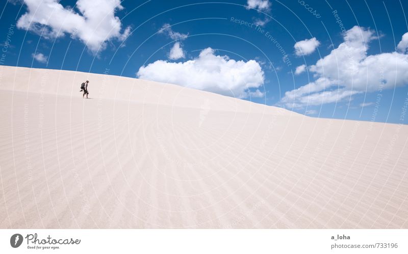 All Alone Mensch maskulin 1 Natur Landschaft Urelemente Sand Himmel Wolken Sommer Klimawandel Schönes Wetter Strand Meer Stranddüne Te Paki Düne Linie gehen