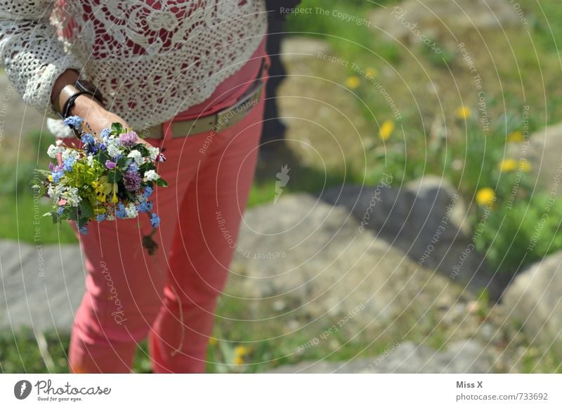 Blümchen Muttertag Geburtstag Mensch feminin Junge Frau Jugendliche 1 Frühling Blume Blüte Hose Blühend Duft mehrfarbig Gefühle Stimmung Liebe Verliebtheit